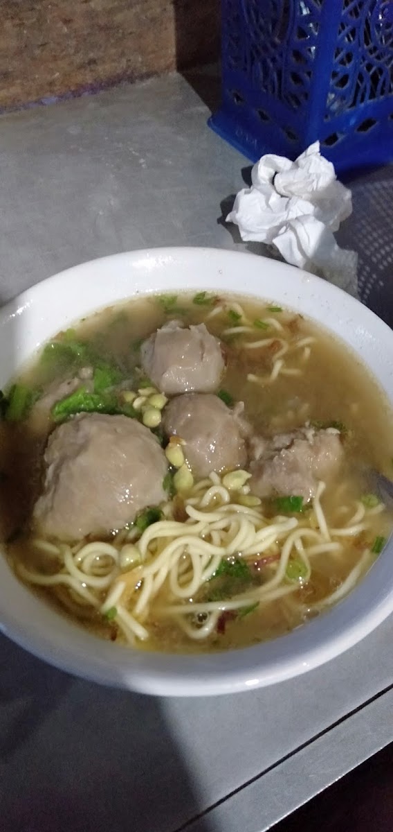Bakso Mie Ayam Pak Ndut