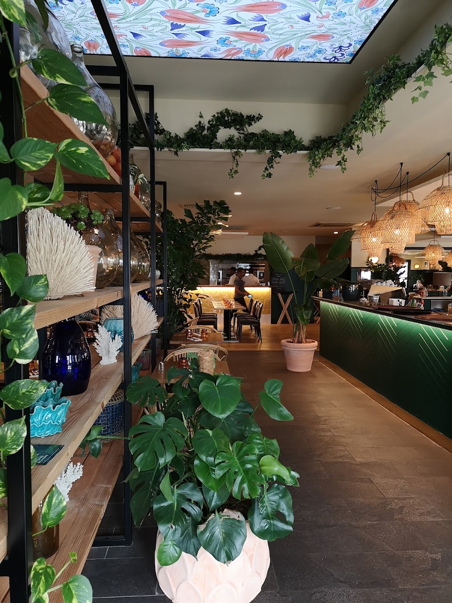 IL POPOLO, MONTAUBAN