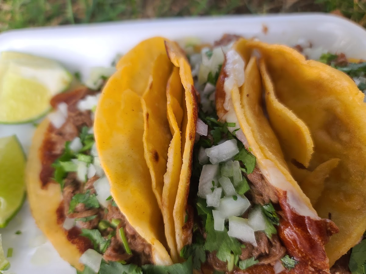 La Unica Birria De Res