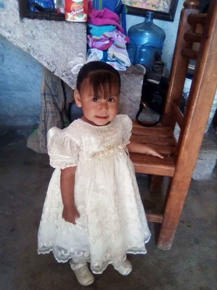 Tacos suaves 'Don Javi'