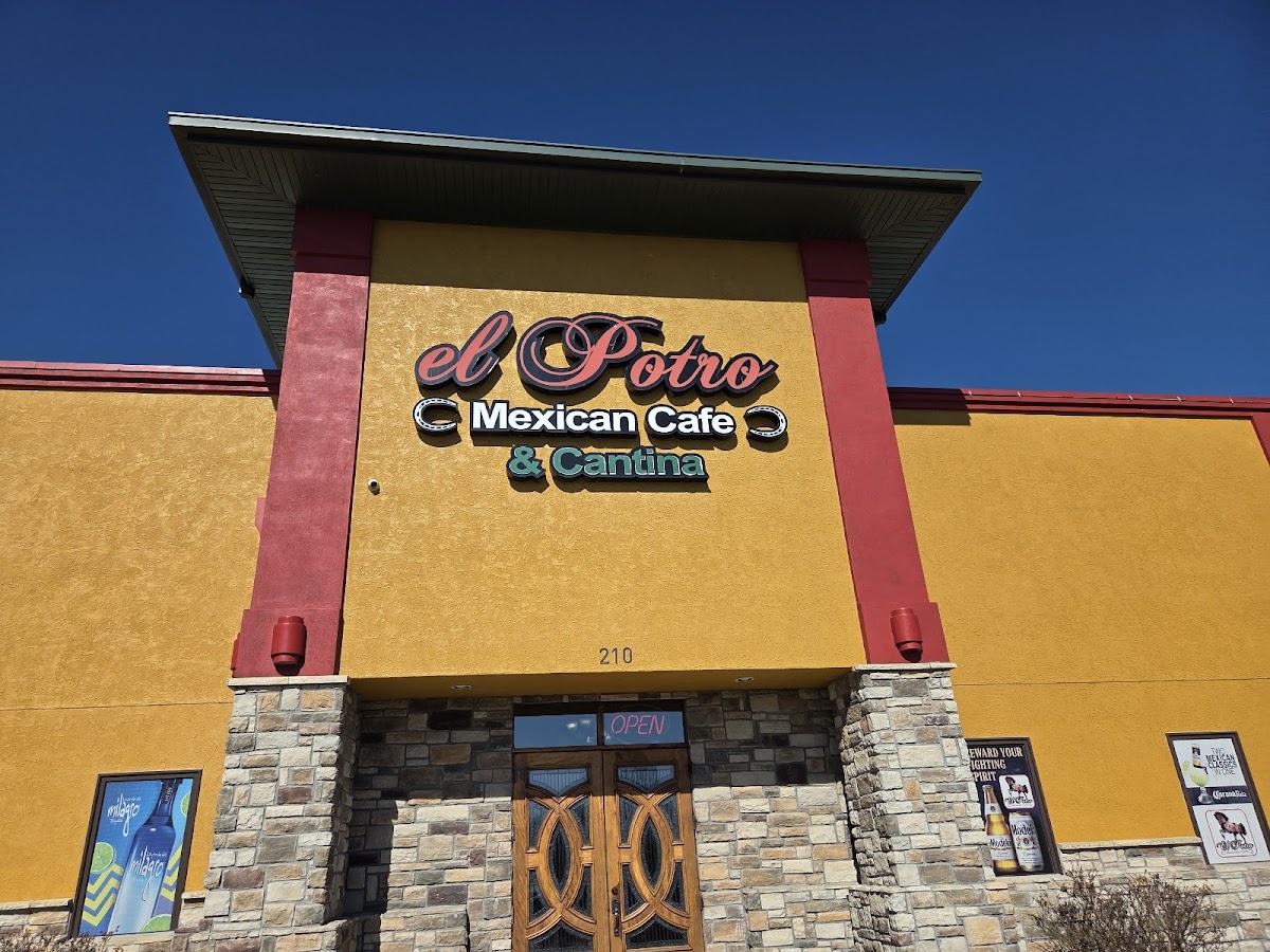 El potro mexican cafe