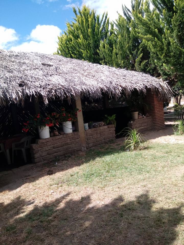 Palapa 'La Reliquia'