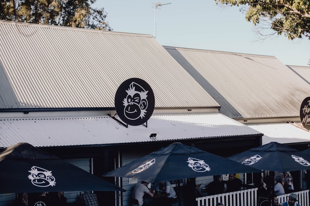 The Hungry Monkey Kiama