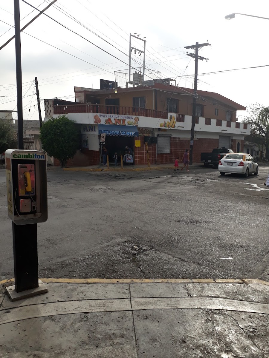 Paletería Ani