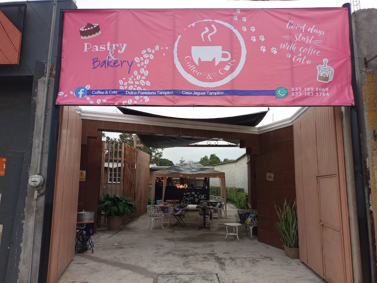 Coffee & CATS Tampico
