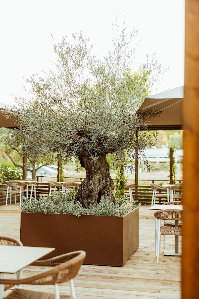 Barracuda Beach Club