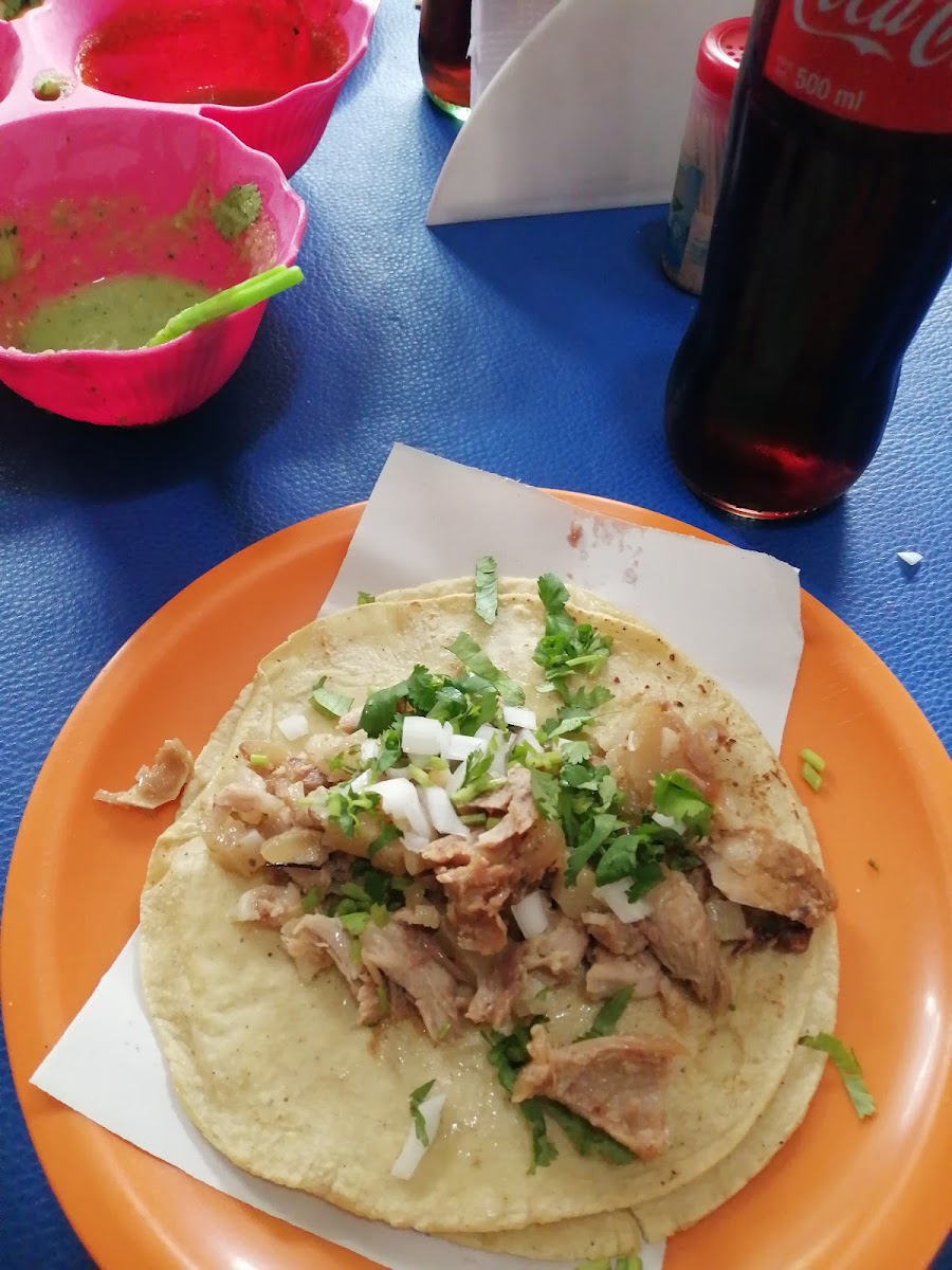 Carnitas GYM