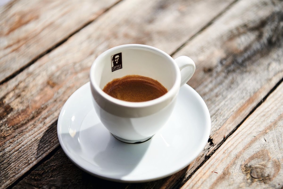 Gallery 3