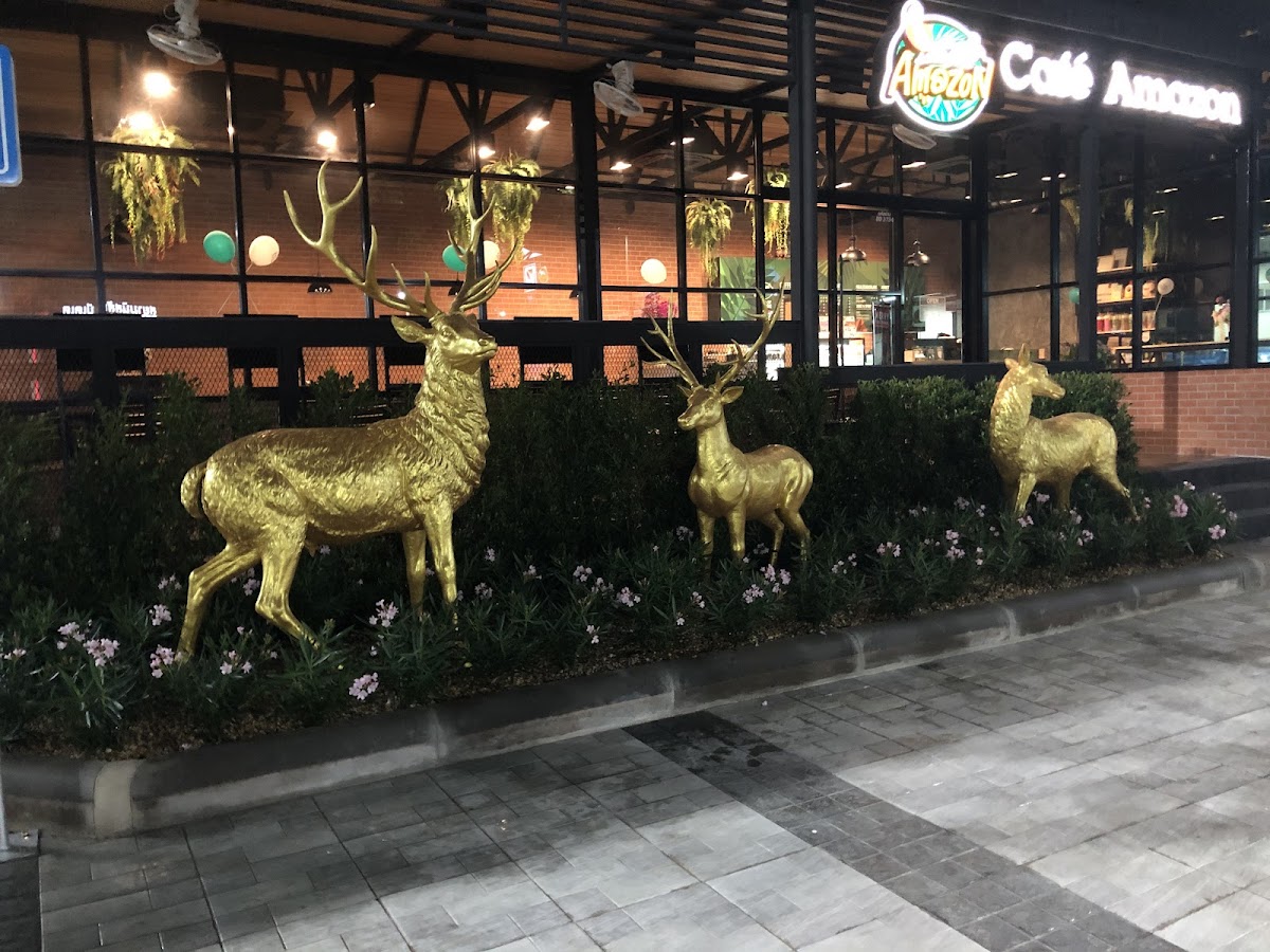 Café Amazon