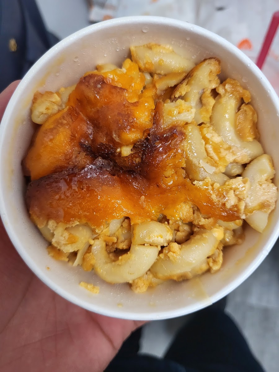 Gallery 7