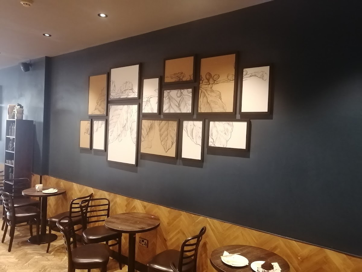 Gallery 4