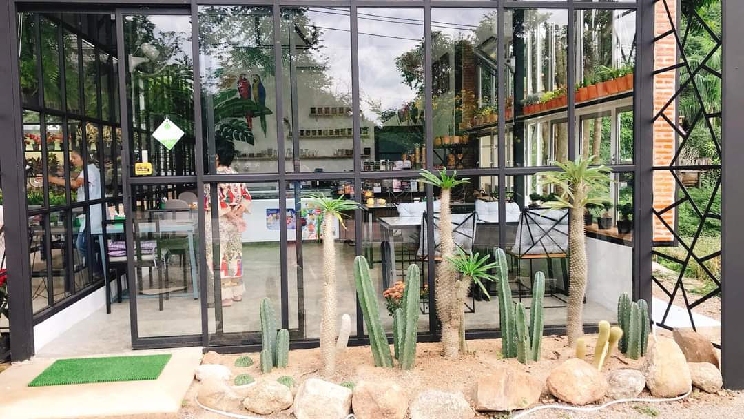ขวัญใจ คาเฟ่ &Tree