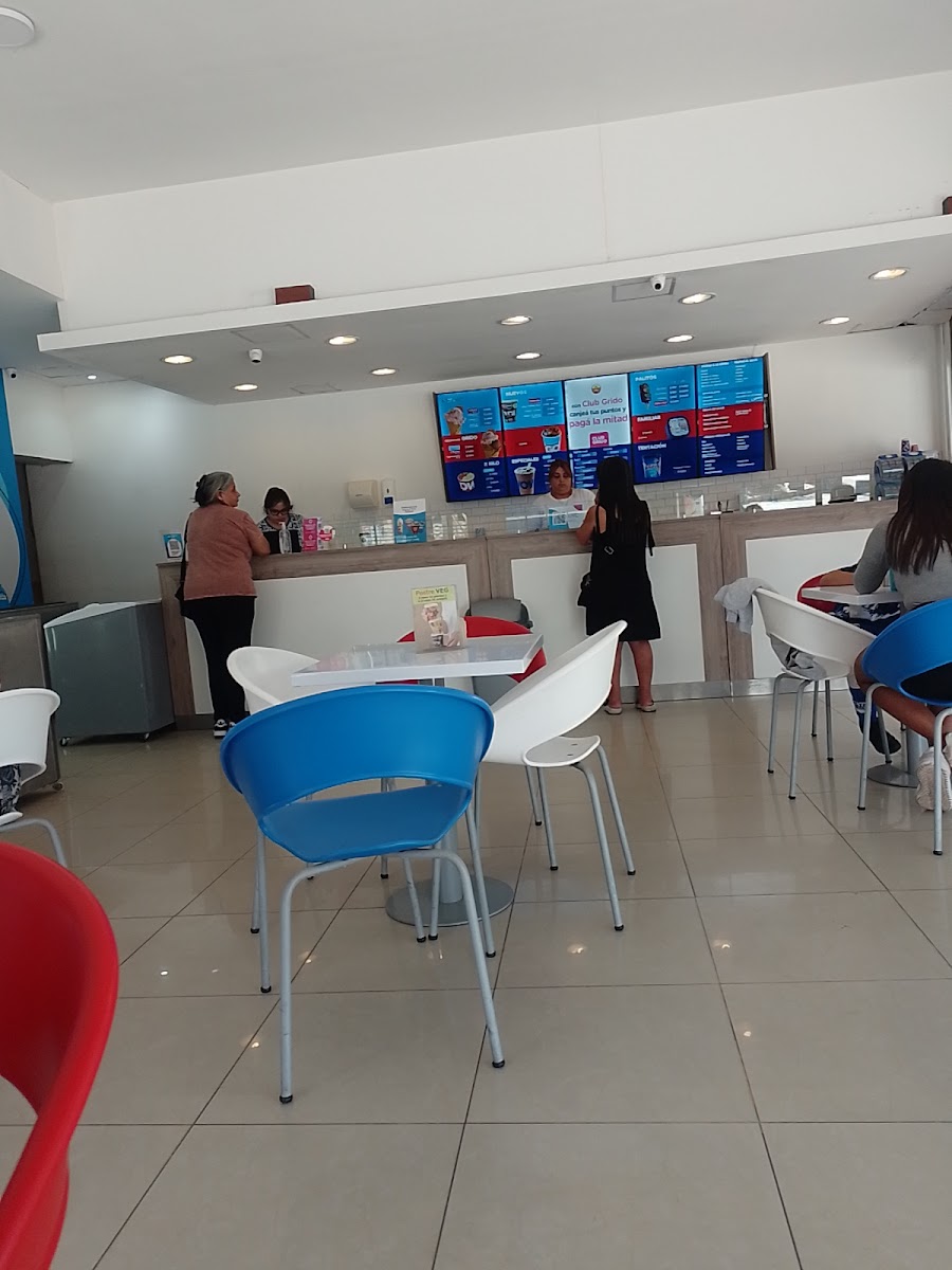 Gallery 4