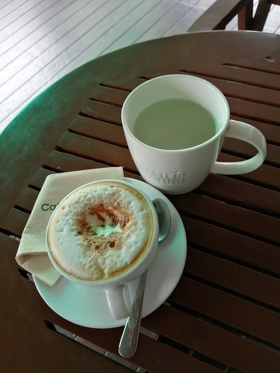 Gallery 10