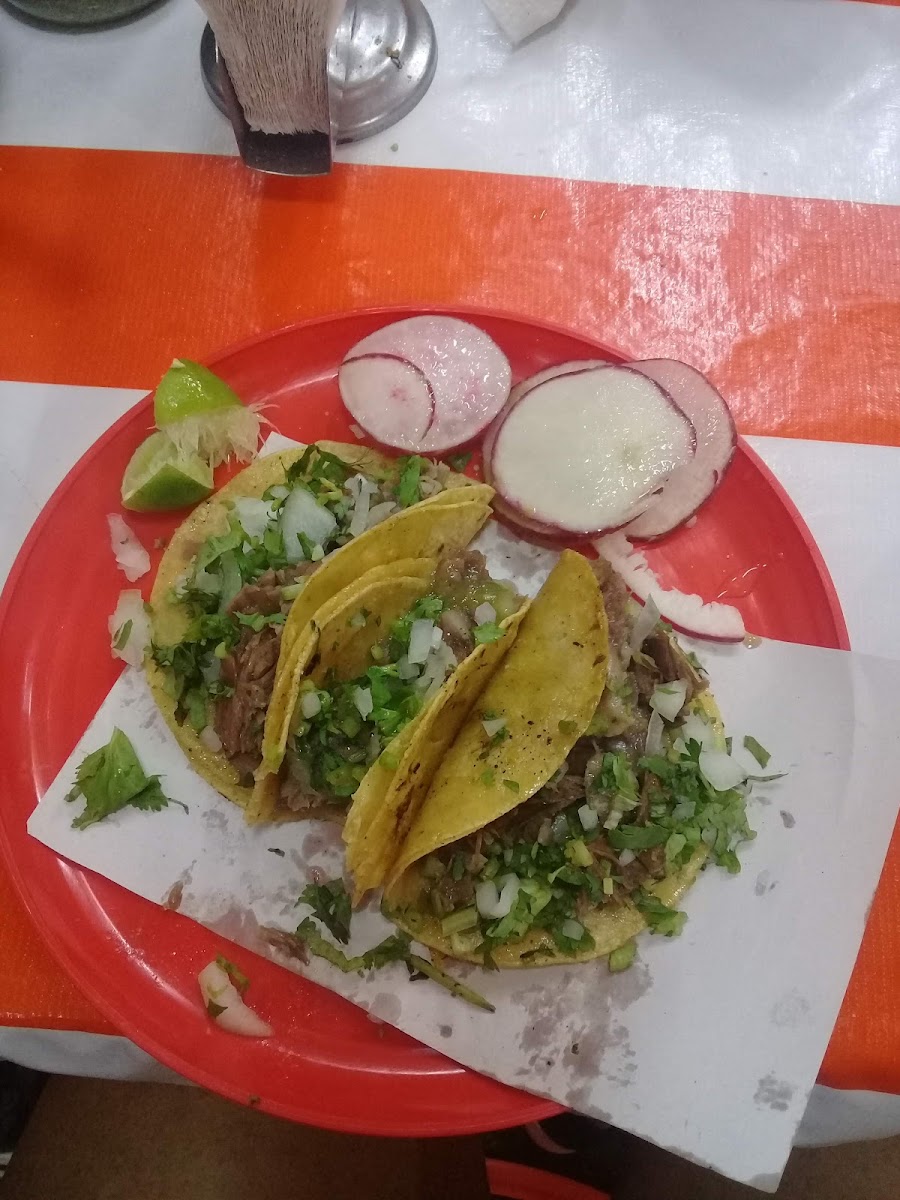Taqueria El Guero
