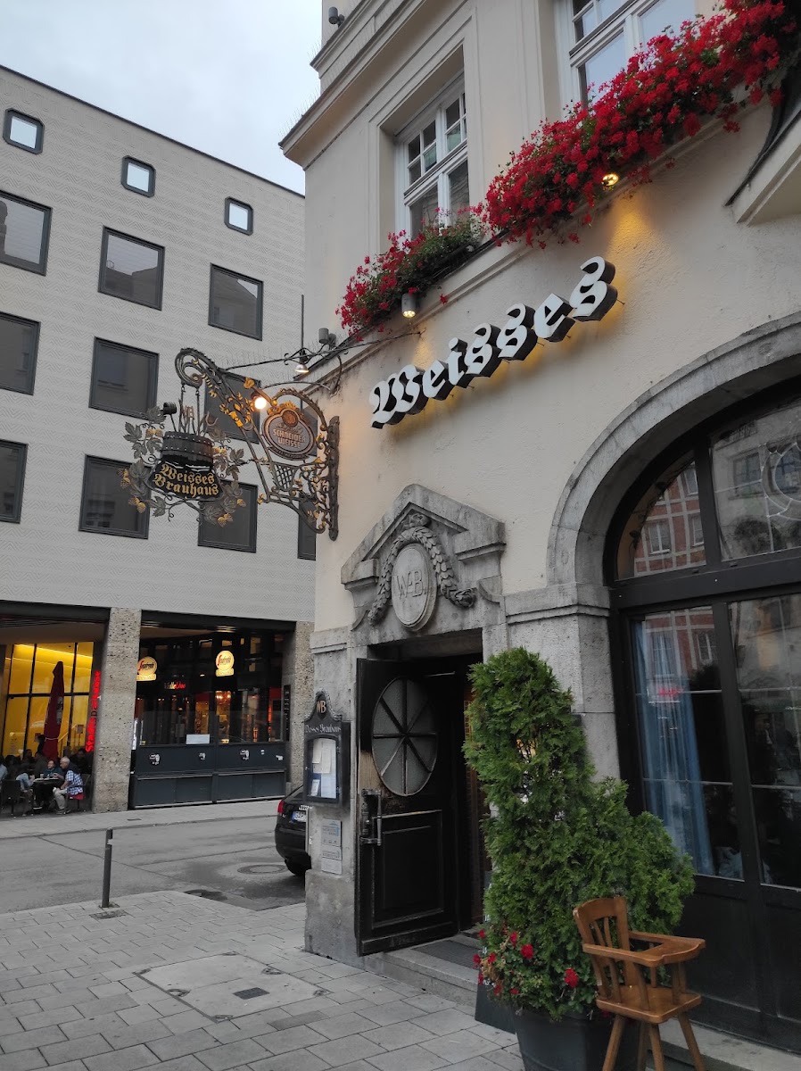 Segafredo Espresso Bar