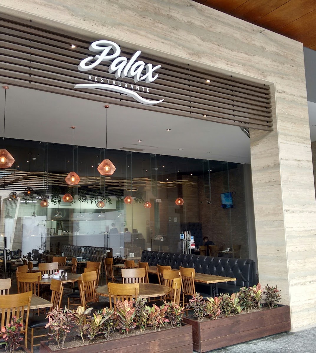 Palax Chroma San Pedro