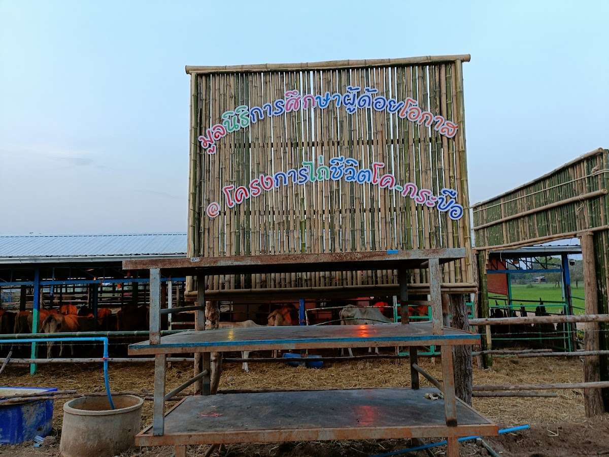 Gallery 3