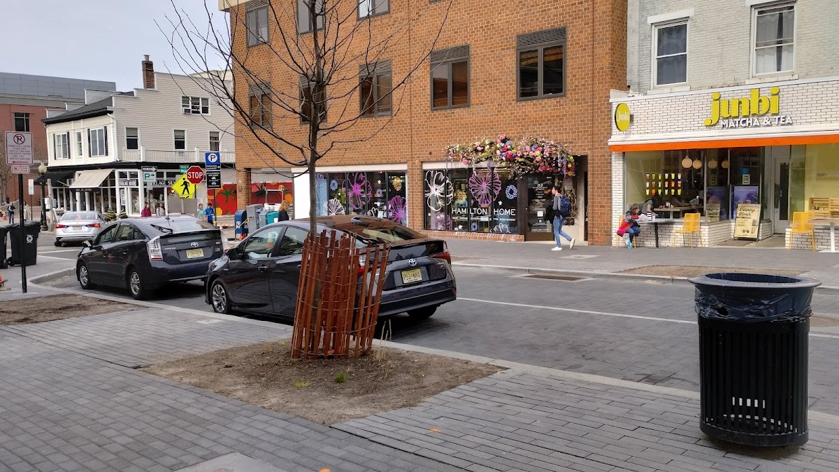 Holsome Teas & Herbs