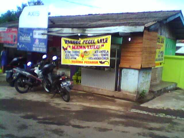 Warung Pecel Lele Mama Lulu