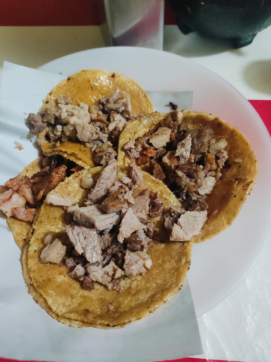 EL ARBOLITO