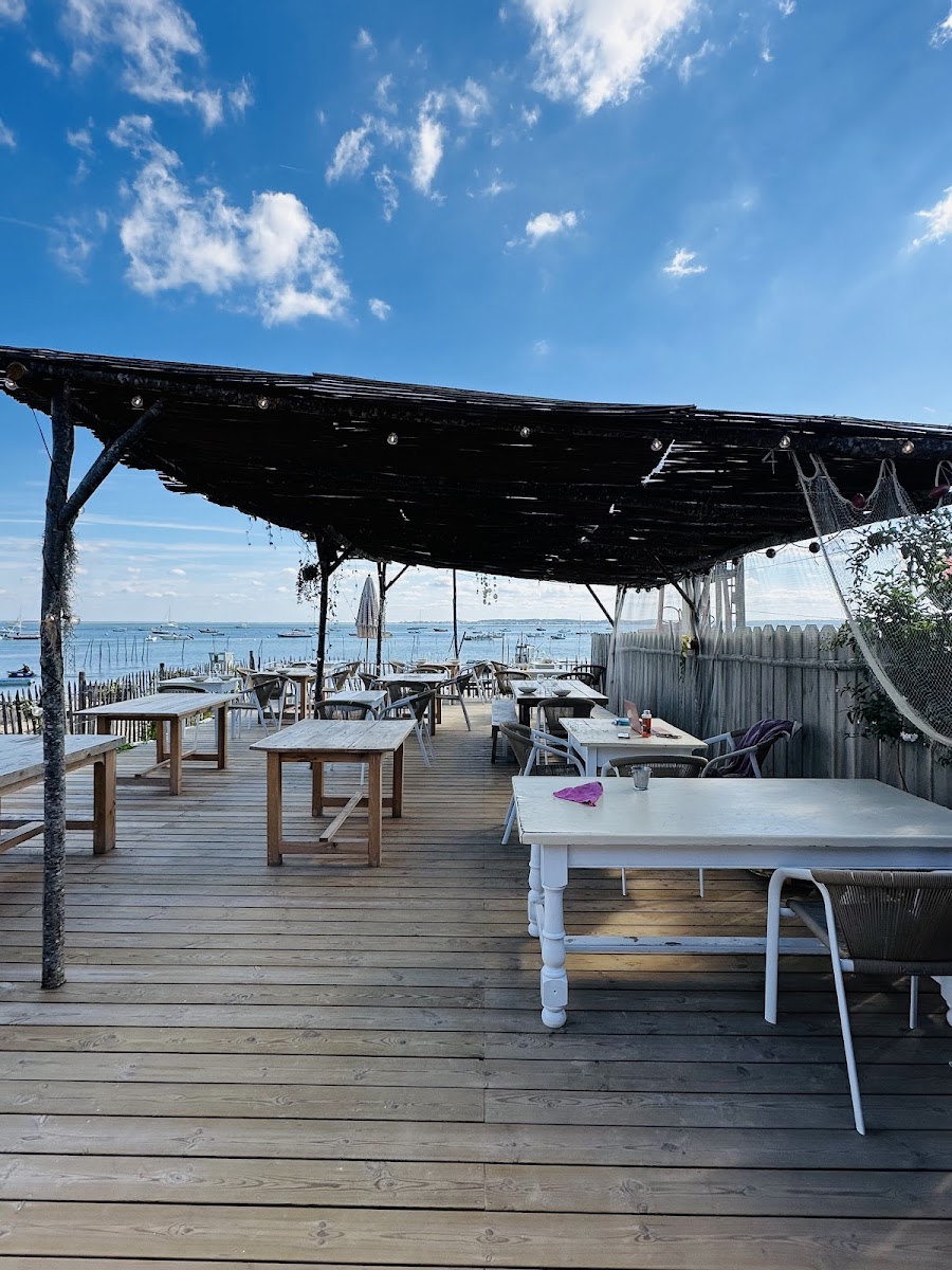 CHAI BENITA EARL TEDDY SOLA