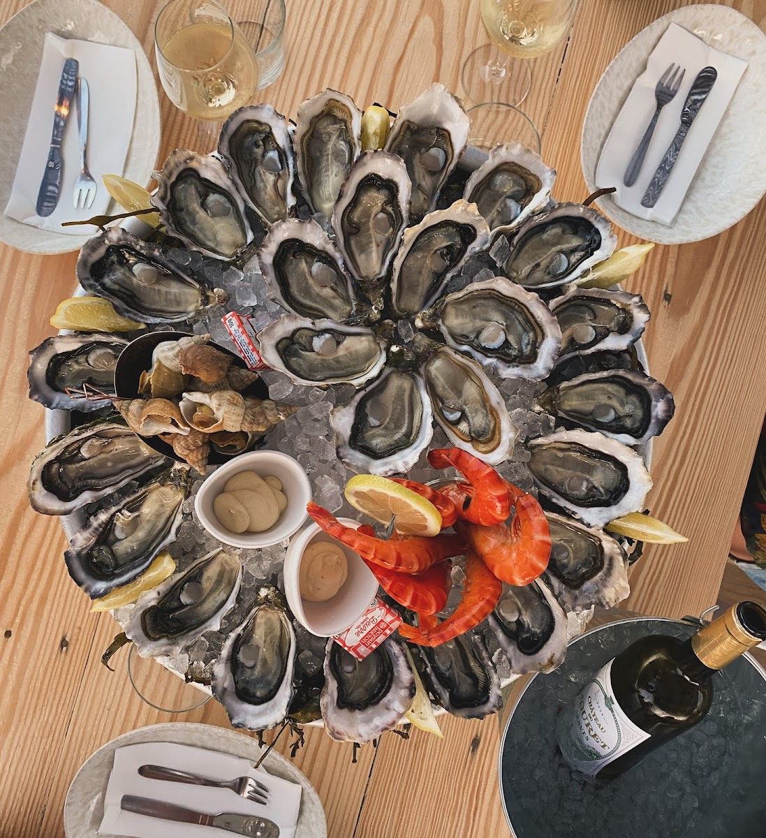 Gallery 5