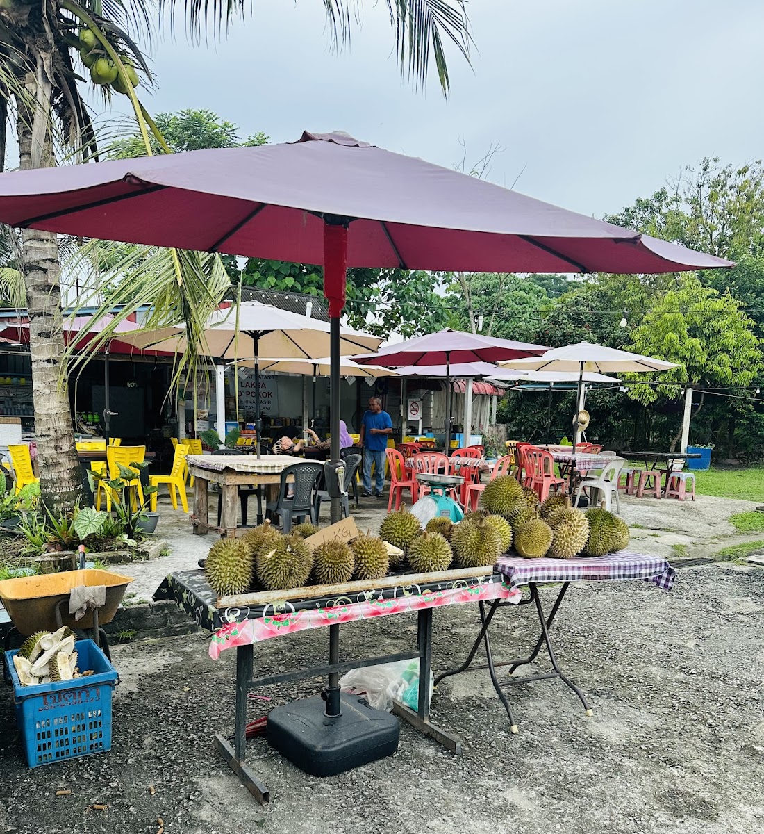 Selamat Datang Laksa D´Pokok