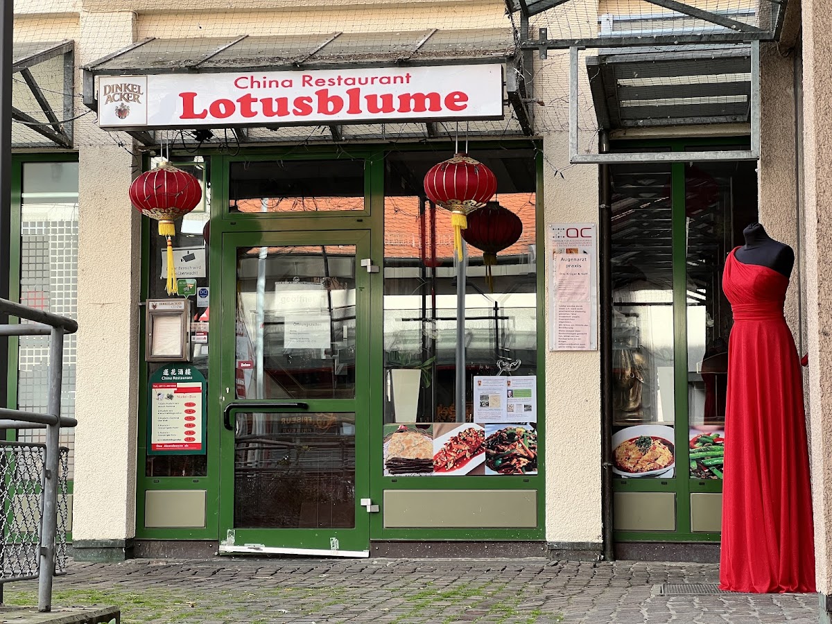 China Restaurant Lotusblume 斯图加特连花酒楼