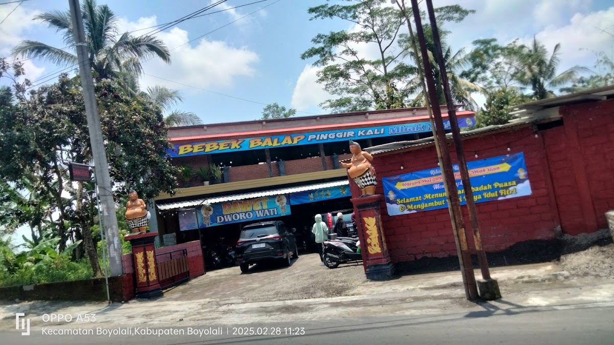 Bebek Dan Ayam Goreng Mbak Nina