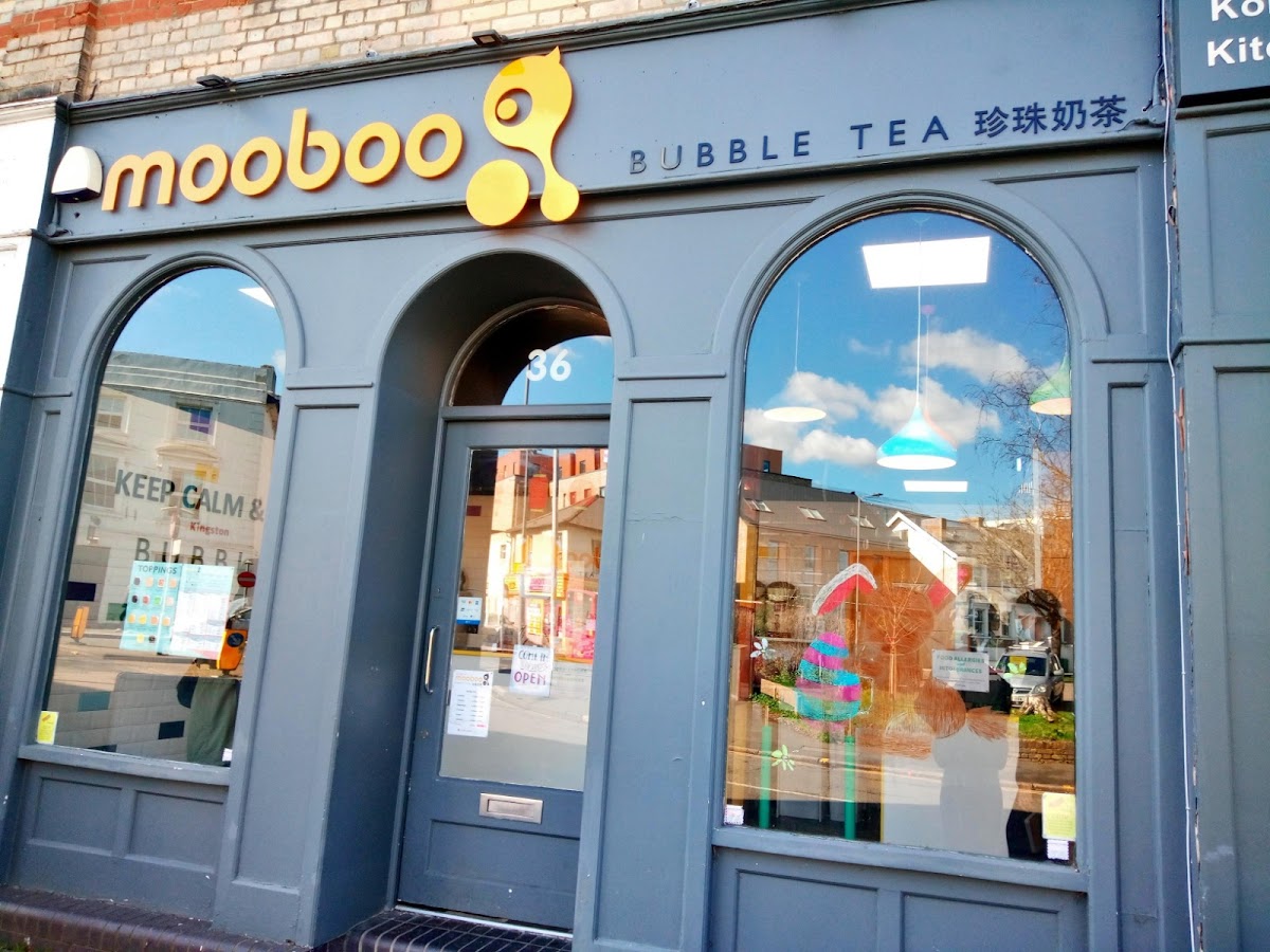 Mooboo Kingston